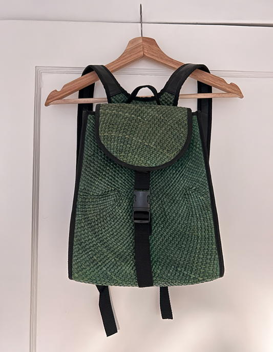 Modern Pasiking Bag